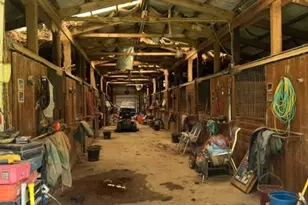 147 Hammar Rd, Kingwood Township, NJ 08822 - Photo 23