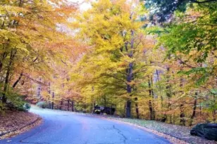 7H New Bedford Rd, West Milford, NJ 07480 - Photo 29