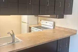 820 Elder Rd, Homewood, IL 60430 - Photo 13