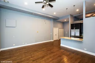 2120 W Rice St, Chicago, IL 60622 - Photo 9