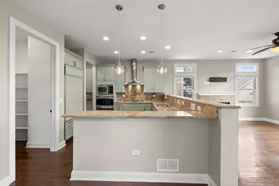 1407 S Emerald Avenue, Chicago, IL 60607 - Photo 13