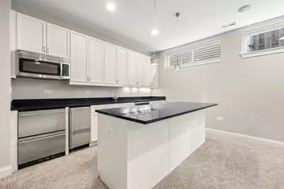 1407 S Emerald Avenue, Chicago, IL 60607 - Photo 25