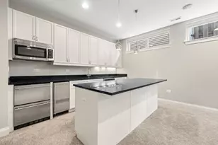 1407 S Emerald Ave, Chicago, IL 60607 - Photo 25