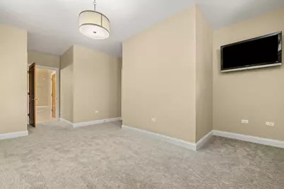 1407 S Emerald Avenue, Chicago, IL 60607 - Photo 19