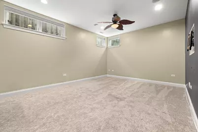 1407 S Emerald Avenue, Chicago, IL 60607 - Photo 23