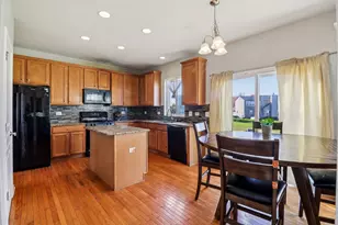 8 Forsythia Ct, Bolingbrook, IL 60490 - Photo 11
