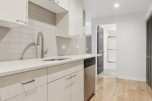 1069 W Foster Ave, Chicago, IL 60640 - Photo 11