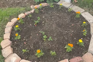 3749 Kemman Ave, Brookfield, IL 60513 - Photo 21