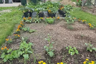 3749 Kemman Ave, Brookfield, IL 60513 - Photo 19