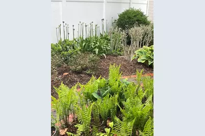 3749 Kemman Avenue, Brookfield, IL 60513 - Photo 23