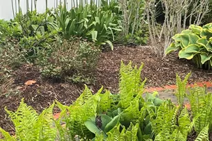 3749 Kemman Ave, Brookfield, IL 60513 - Photo 23