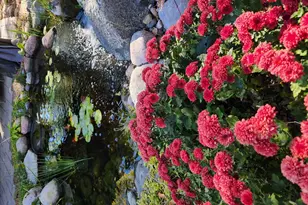 [Address not provided], Plainfield, IL 60544 - Photo 5