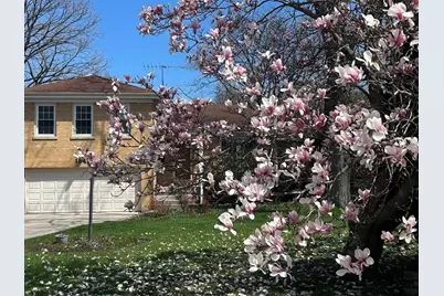 1341 Carlisle Place, Deerfield, IL 60015 - Photo 1