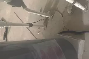 18 E 137th St, Riverdale, IL 60827 - Photo 11