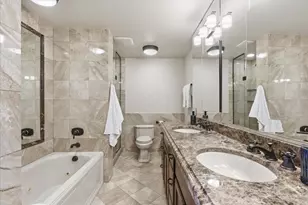 1000 N Lake Shore Plaza, Chicago, IL 60611 - Photo 15