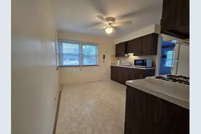 58 W Comfort Street, Palatine, IL 60067 - Photo 13