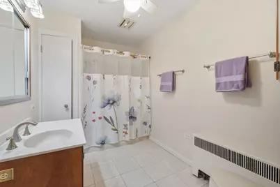 24 N Emerson Street, Mount Prospect, IL 60056 - Photo 19