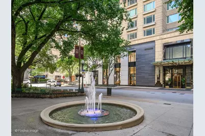 800 N Michigan Avenue #4703, Chicago, IL 60611 - Photo 3