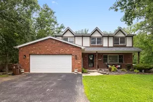 24216 S Plum Valley Dr, Crete, IL 60417 - Photo 1