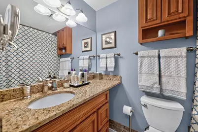 1251 Cranbrook Drive #1251, Schaumburg, IL 60193 - Photo 23