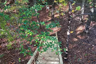 991 Hinson Branch Rd, Lugoff, SC 29078 - Photo 67