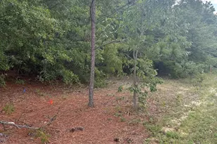 1148 Hwy1 S, Lugoff, SC 29078 - Photo 1