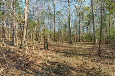 Parcel A Grover Wilson Road, Blythewood, SC 29016 - Photo 9