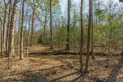 Parcel A Grover Wilson Road, Blythewood, SC 29016 - Photo 11