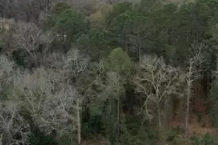 0 Popular Street Lot 1, Cayce, SC 29033 - Photo 7