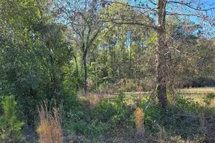 0 Popular Street Lot 1, Cayce, SC 29033 - Photo 3