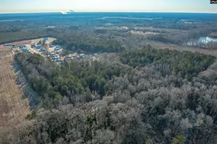 302 Sunny Acres Dr, Eastover, SC 29044 - Photo 7