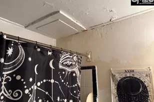 4103 Devine Street J-6, Columbia, SC 29205 - Photo 11