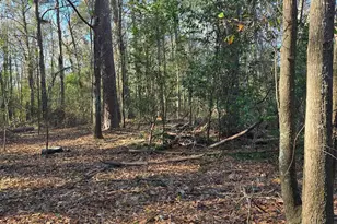 Tbd Poplar Lots A B &amp C St, Cayce, SC 29033 - Photo 9