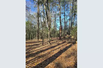 Tbd Poplar Lots A, B &amp; C Street, Cayce, SC 29033 - Photo 11