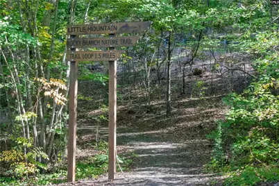 189 Caballeros Trail, Prosperity, SC 29127 - Photo 17