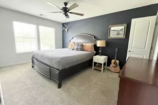 100 Palm St, Chapin, SC 29036 - Photo 19