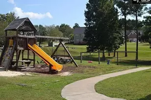 100 Palm St, Chapin, SC 29036 - Photo 31