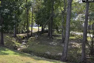 100 Palm St, Chapin, SC 29036 - Photo 33