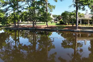 458 Laurel Mist Ln, West Columbia, SC 29170 - Photo 79