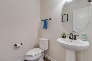 213 Dove Chase Trail, Lexington, SC 29072 - Photo 21