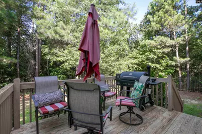1464 Red Sunset Lane, Blythewood, SC 29016 - Photo 11