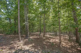 180 J C Trapp Rd, Blythewood, SC 29016 - Photo 17