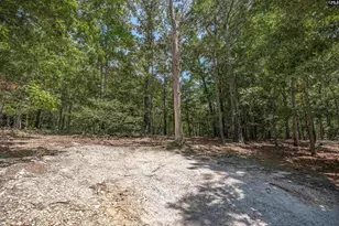 180 J C Trapp Rd, Blythewood, SC 29016 - Photo 15