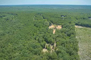 2337 Cedar Creek Rd, Blythewood, SC 29016 - Photo 61