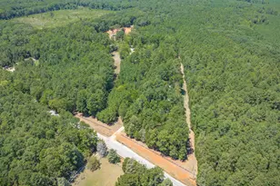 2337 Cedar Creek Rd, Blythewood, SC 29016 - Photo 55