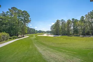 313 Redbay Rd, Elgin, SC 29045 - Photo 63