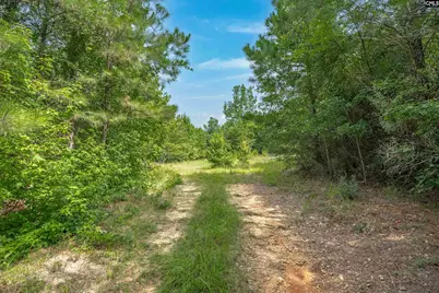 605 W Church Street, Batesburg, SC 29006 - Photo 11