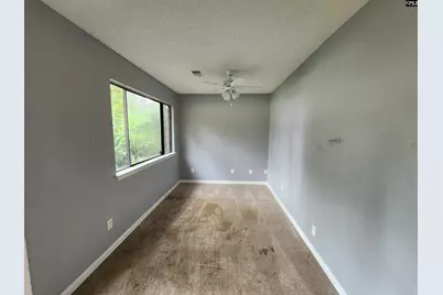 1 Pioneers Point Court, Irmo, SC 29063 - Photo 11