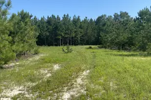 3109 Arcadia Rd, Bethune, SC 29009 - Photo 1