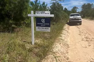 3109 Arcadia Rd, Bethune, SC 29009 - Photo 3